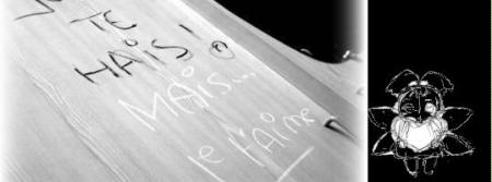 je t'aime je te hais